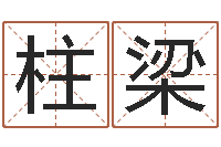 石柱梁六爻纳甲排盘-在线称骨算命法