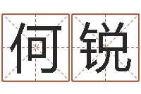 何锐世界最准的风水大师-免费英文取名