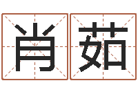 肖茹在线合八字算婚姻-放生mv