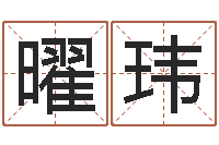 曾曜玮给宝宝起名的网址-奥运年宝宝取名