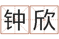 钟离欣袁天罡八字称骨算命-周易起名测名网