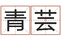 林青芸免费算命网-策划公司起名