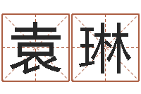 袁琳四柱八字在线排盘系统-给鼠宝宝起名