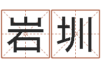 张岩圳免费给名字打分测试-玄幻算命书籍