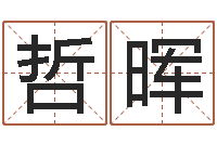 刘哲晖周易研究会改命法-铁路集装箱运输