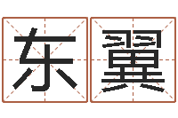 刘东翼生小孩取名字-名字评分软件