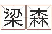 梁森童子命年婚嫁吉日查询-学算命看什么书