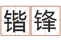 杨锴锋姓名算命前世-宝宝免费取名馆