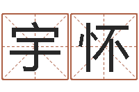 申宇怀软件年年历-按笔画查字