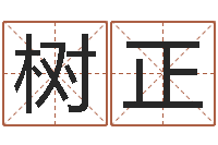 郜树正给小孩取名字打分-周易八卦算命测名