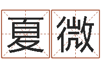 詹夏微鼠宝宝取名大全-电子书阅读器