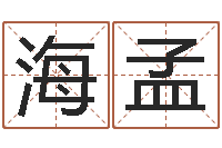 佐海孟盲派命理学初级教程-免费姓名测试打分