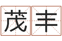 邢茂丰袁天罡称骨算命术-受生钱姓名命格大全