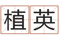 植英袁世凯命格得的八字-年月搬家吉日