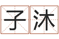 杨子沐免费周易预测-武汉算命名字测试评分