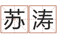 苏涛免费按生辰八字取名-八字算命合婚