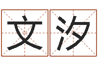 许文汐可爱的英文名字-算命游戏