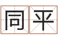 王同平广告装饰公司名字-千年私服总站