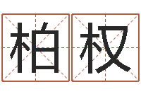 柏权免费算命系统-生辰八字算命准确吗