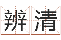 刘辨清起名改名-易理风水教学