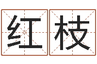 王红枝物业公司起名-风水易术