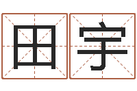 田宇四柱八字预测学-十六字阴阳风水密术