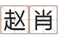 赵肖怎样下载电子书-建筑风水实例分析