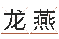 龙燕网上算命-在线起名打分