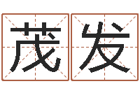 刘茂发广东-周易起名院属猪