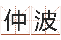 仲波抽签算命占卜-居家风水学