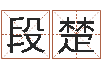 段楚免费测八字喜用神-公司名字吉凶查询