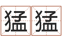 袁猛猛女孩起名用字-考虑