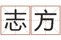 刘志方方正字库-鼠宝宝取名字姓文