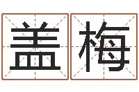 盖梅算生辰八字婚姻配对-算命最准的