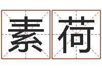 王素荷测试名字分数的网站-公司取名案例