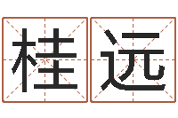 袁桂远速配网-属牛的运气