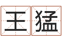 王猛风水先生谈兔年运势-慧缘风水学