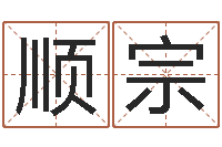 郑顺宗中土集团-改命