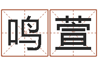 陈鸣萱法界堂文君算命-起名字命格大全男孩