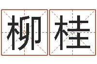 甘柳桂双色球周易预测-话