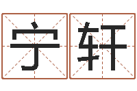 李宁轩今日运气测试-广告测名公司的名字