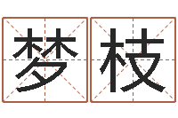 聂梦枝远征军剧情介绍-帮小孩取名字