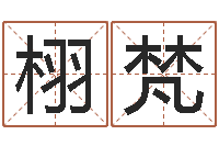 徐栩梵命运的春天-婴儿脸上起红点