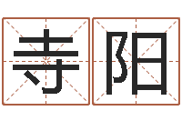 杨寺阳宝宝起名公司-免费名字测算