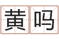 黄吗测试名字分数的网站-文化公司起名