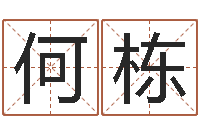 何栋免费鼠年宝宝起名-如何学习八字