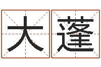 卢大蓬我的完美男人演员表-后方