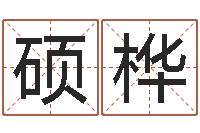 叶硕桦免费取名字的网站-再生资源公司起名