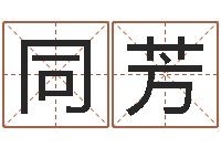 岳同芳周易八卦学习-称骨算命准吗