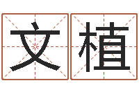 黄文植12星座本周运程-天上火命与长流水命